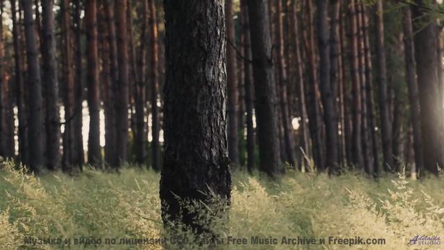 Мелодия, которая заставляет хотеть свернуть на любую неизвестную дорогу - Thereafter -- A. A. Aalto