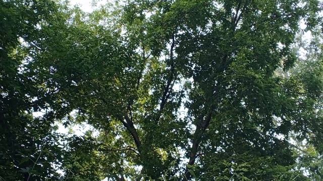1000008343.mp4