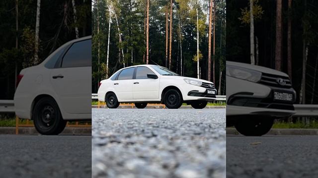 авторитету затердя дилабэл у Миша у ваган