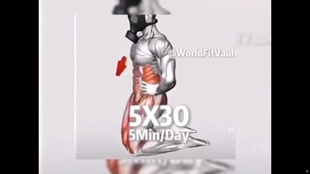 5×30 5min/den