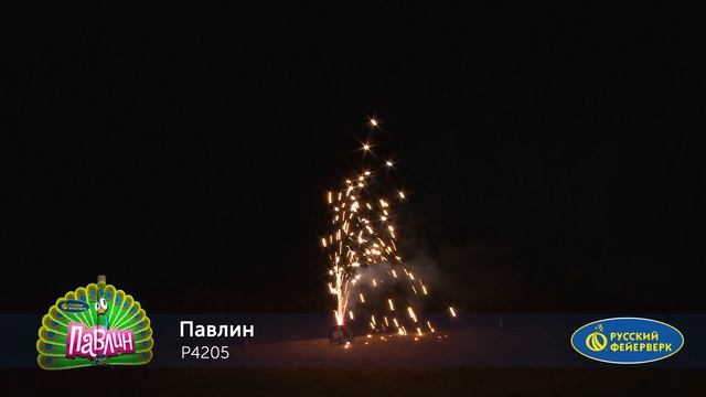 P4205