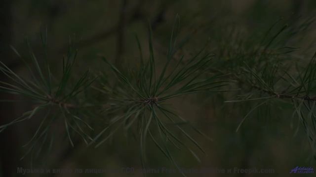 Когда мороз рисует узоры, а музыка - эмоции! - Rising -- Johannes Weber -- Unnamed album