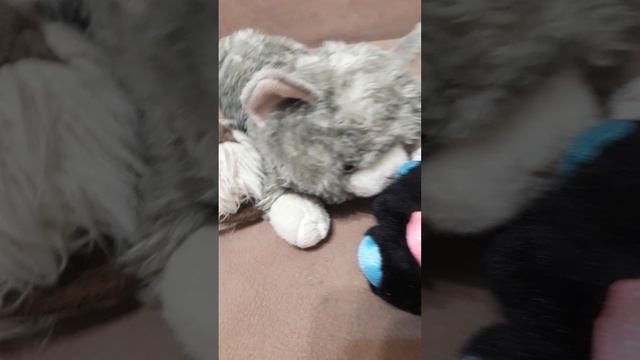 🥰🥰🥰🥰.mp4