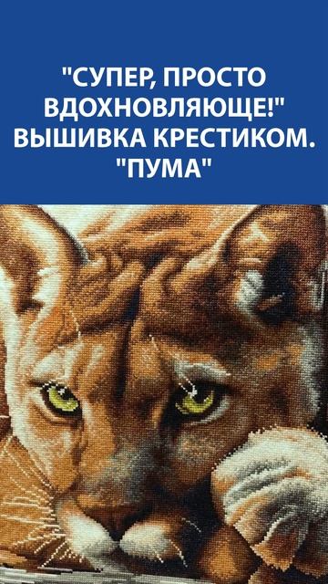 Вышивка "Пума", от которой невозможно отвести взгляд  Сила, грация и характер в каждом крестике