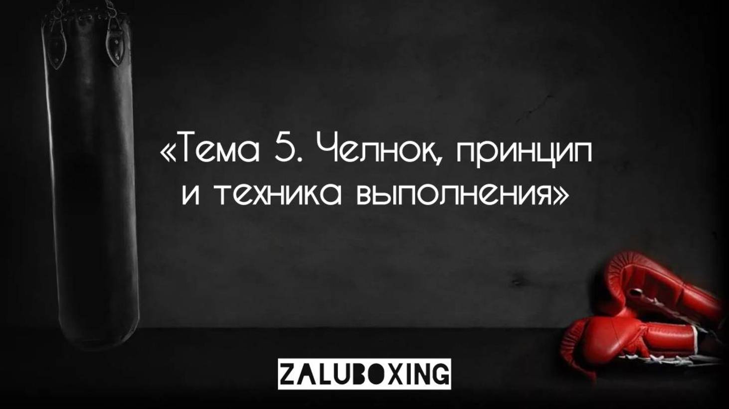 Тема 5. Челнок, принцип и техника обучения