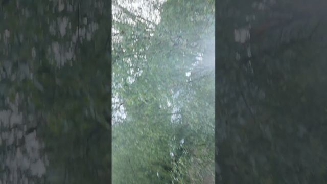Абзор на хату