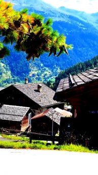 Камера сняла что-то странное