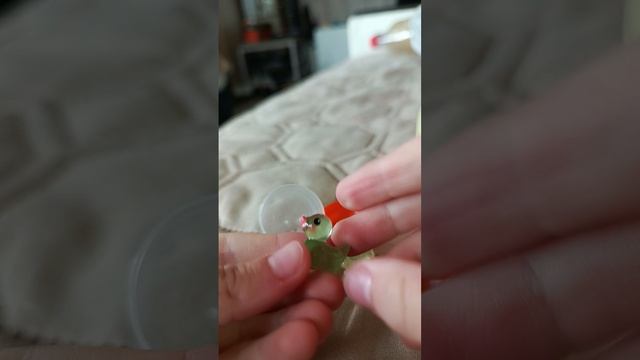 1000028125.mp4