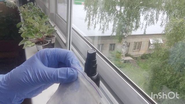 Фиалки. Выходящая обработка для новой коллекции.