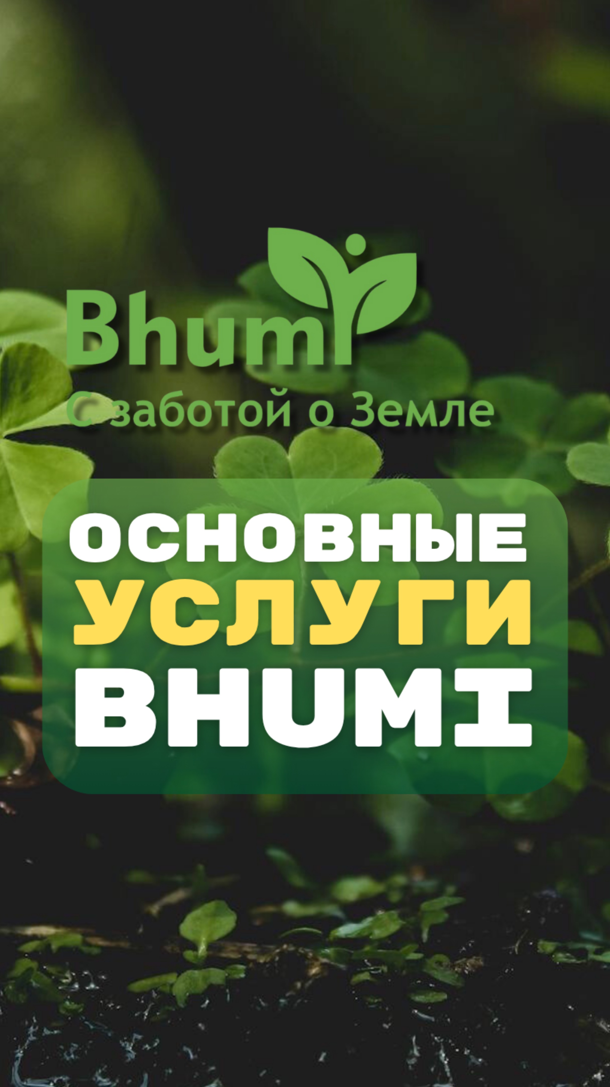 Основные услуги Bhumi