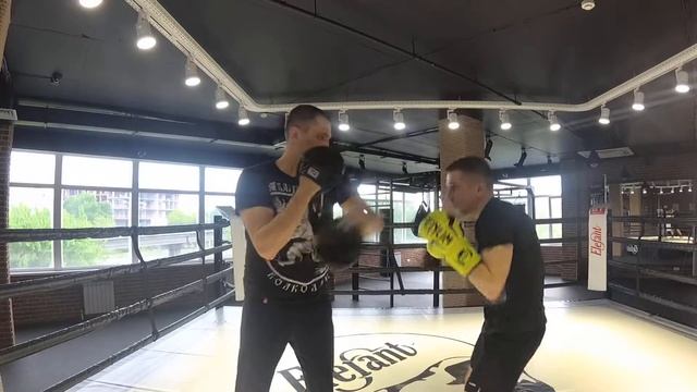 Бокс. Разбросал на лапах. смотреть до конца! тренер Бер