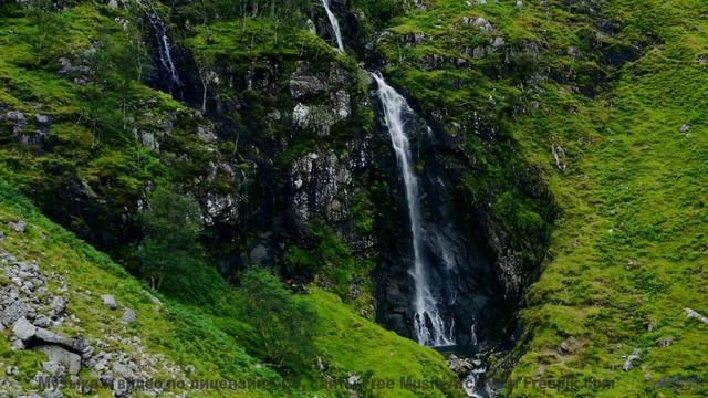 Леса танцуют в такт каждой новой ноте - Ladies and Gentlemen, We Have Liftoff -- Wax Lyricist -- The