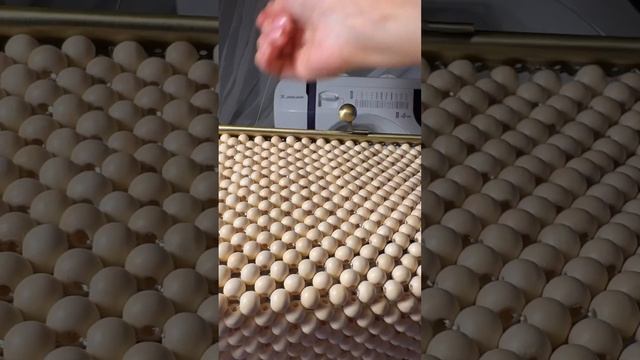 Бесплатный МК. Пришиваем фермуар с любым числом отвер?