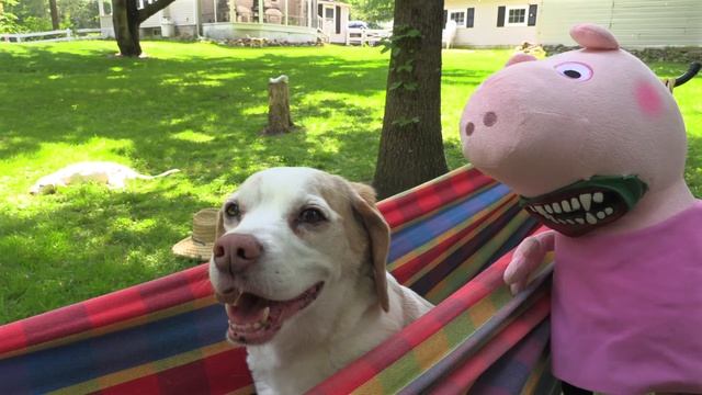 Dogs Battle Evil Peppa Pig Zombie!