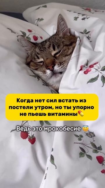 Тяжело встать из постели утром⁉️