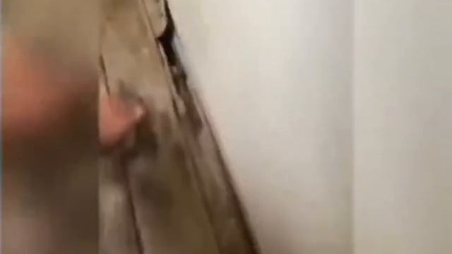 Что это пролетело в только что найденном вскрытом подвале?