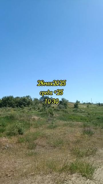 28-05-2025
