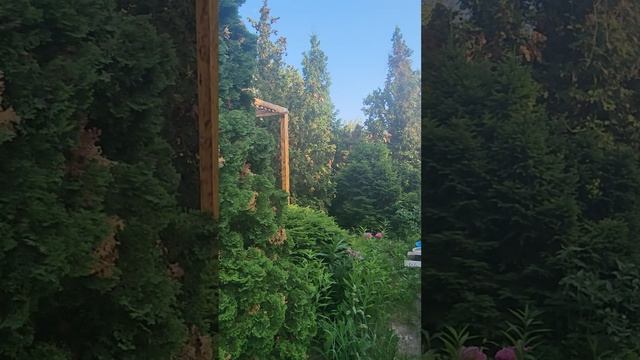 Снт прессовщик участок тел 89276923484