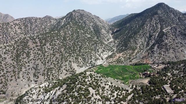 Музыка несёт сквозь леса, реки и закаты без остановки - 05 Avecitos ft. Shira Netanya, Avi Burg - Ma