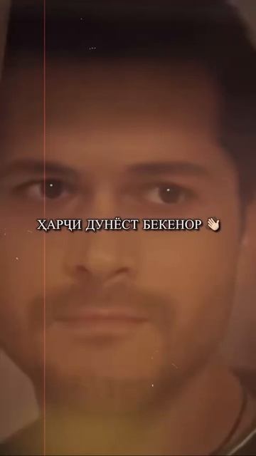 Лейла ❤️