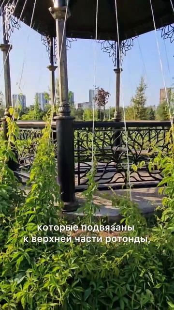 Как превратить ротонду в уютный тенистый уголок #ландшафтныйдизайн #садовыенаваторы #ротонда #сад