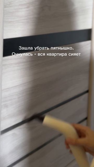 WB: 391773767