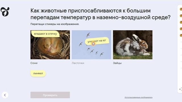 15 Среды обитания