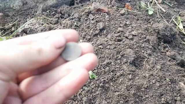 Шурф фундамента, неожиданные находки.
