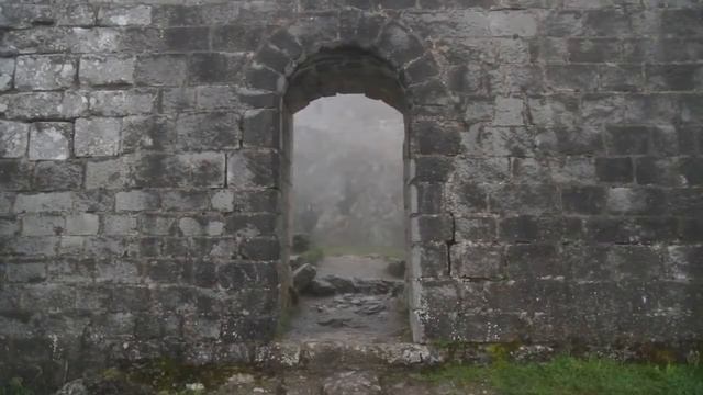 Белая Лилия. Остановка 10. СОВЕРШЕННЫЙ