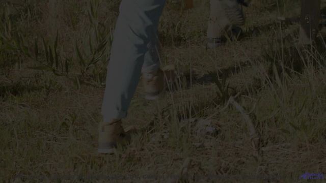 Такой красоты под такой трек вы точно не видели - Spelunking -- Kirk Osamayo -- Season Two (PURPLE)