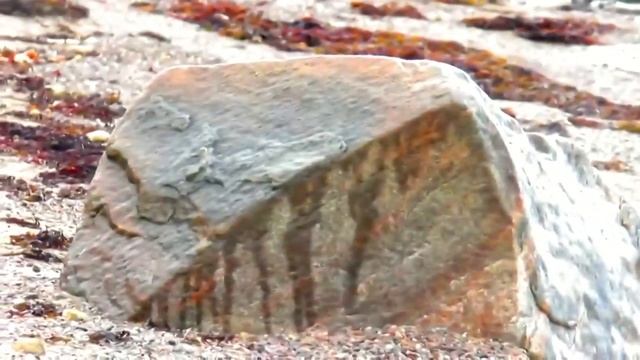 Морской Прилив