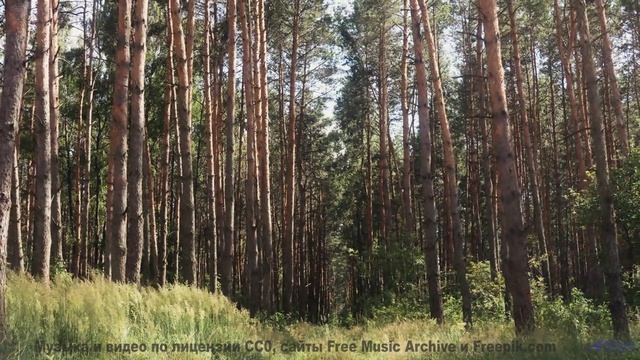 Путешествие по планете становится волшебным под этот трек - Sentience (Council of Seers) -- Julia Fe