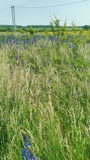VID_20250613_125620