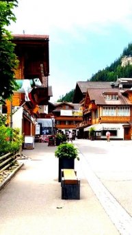 Всё на камере