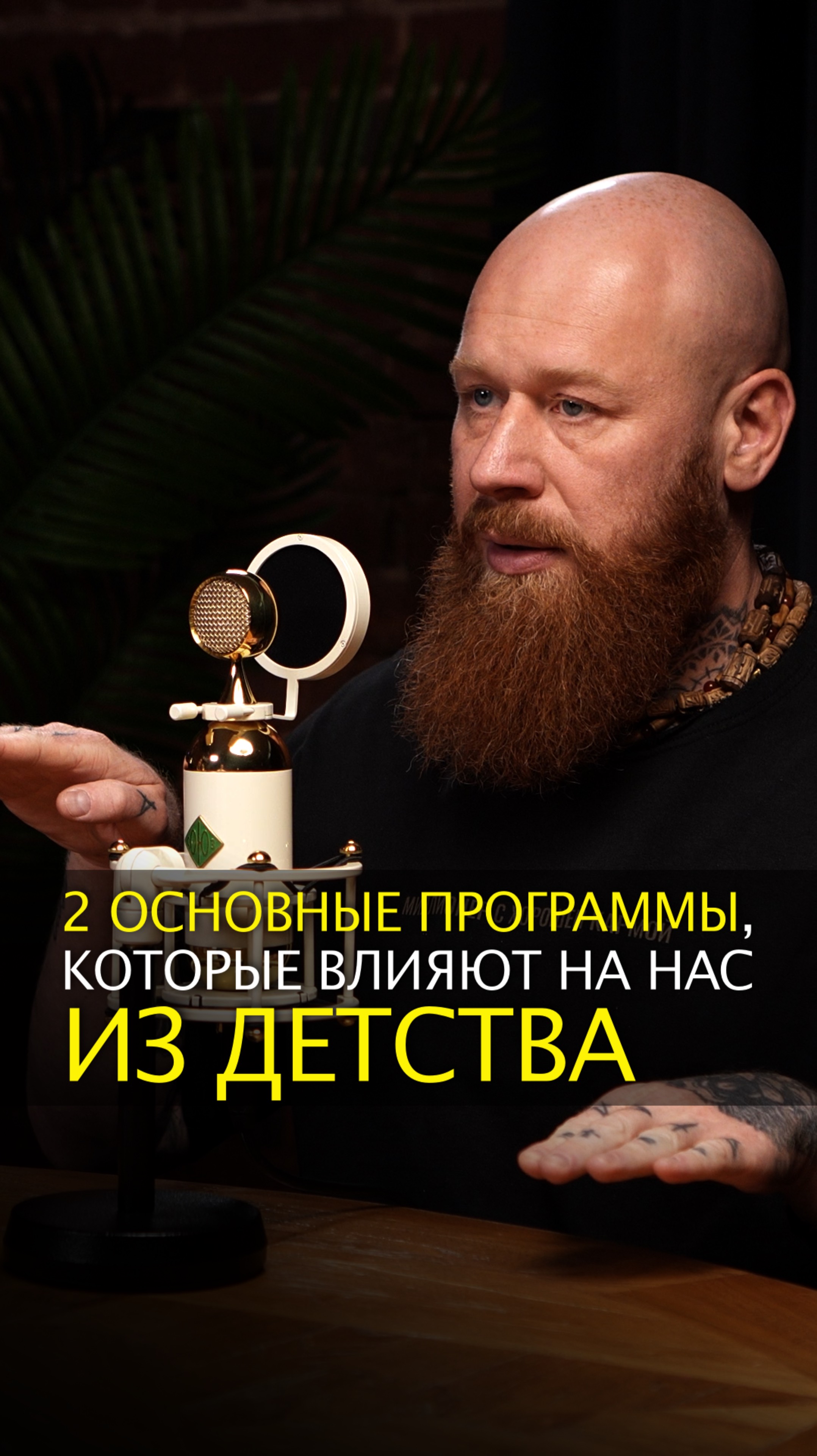 2 основные программы, которые влияют на нас из детства