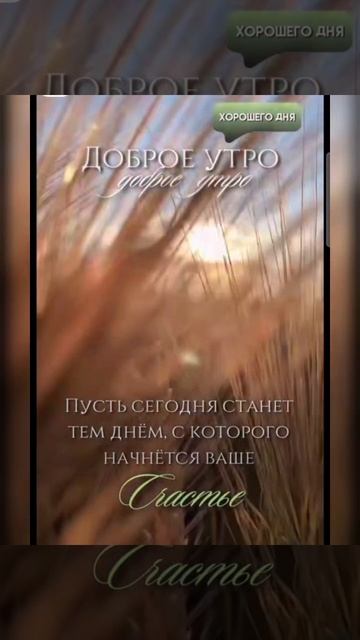 Доброе утро #доброеутро #благодарность