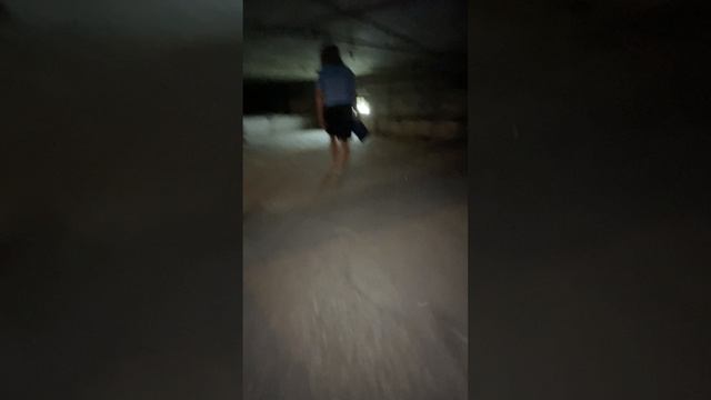 Госжилинспекция на чердаке