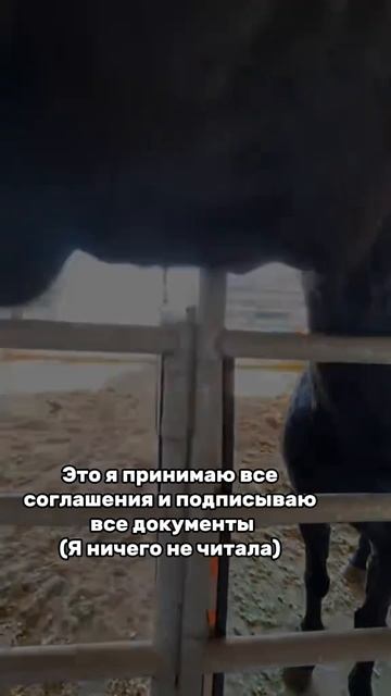 А мне ничего особо знать и не надо