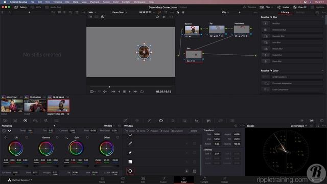 L16_Adjusting_Skin_Tones_Manually