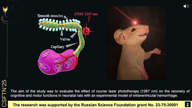 Phototherapy of the nervous system of newborn rats with intraventricular hemorrhage
YAKUNINA ARINA