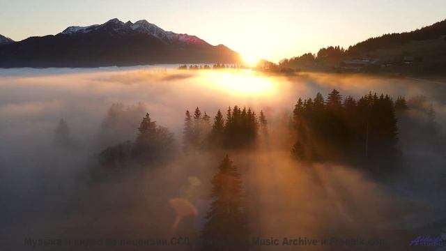 Мелодия, делающая даже дождь за окном машины романтичным - Nocturne -- Podington Bear -- Haplessly H