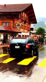 Камера засняла редкое событие