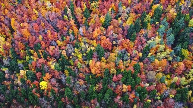 Эти пейзажи созданы для того, чтобы влюбляться снова и снова... - 01 Skitz-Out -- Shaolin Dub -- Pre