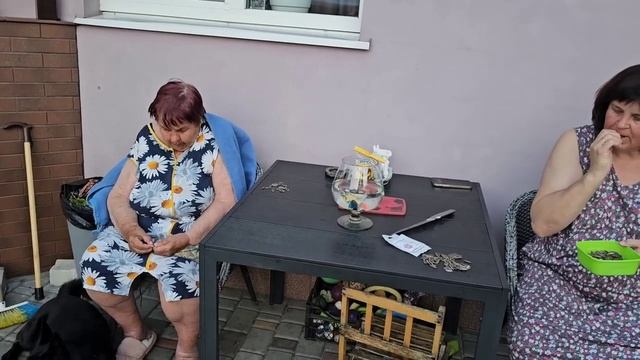САМВЕЛ АДАМЯН, СЫТНИКИ, САДИМ ВОЛШЕБНЫЕ БОБЫ.