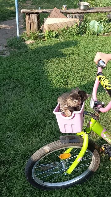 1000160848.mp4