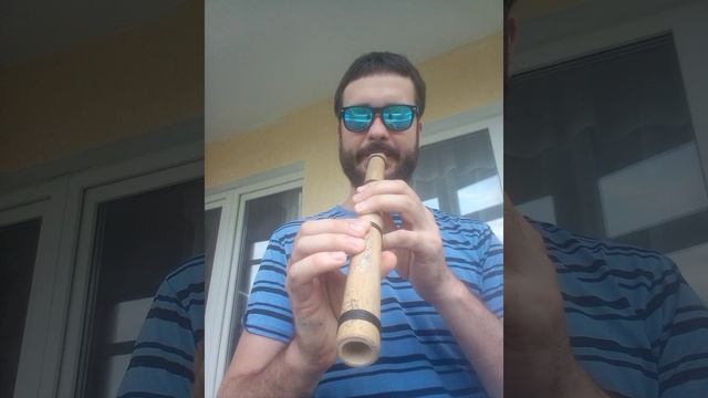 экземпляры однооктавных флейт сякухати
