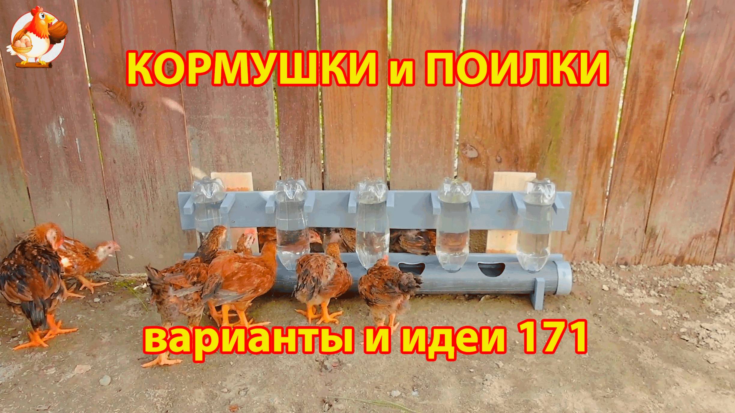 Кормушки и поилки для кур своими руками (171) 🪚✂️ Пошаговая инструкция как сделать 🐔 🐓❣️