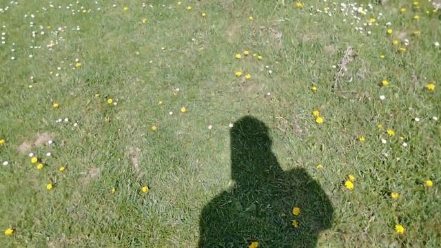 Весенние работы завершены. Можно прогуляться.#дача#те?