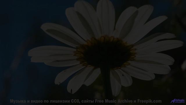 Природные кадры, от которых учащается пульс - вы готовы - Too Many Roads -- One Man Book -- Brand Ne
