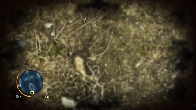 Far Cry 3 2025 06 12   08 02 29 05